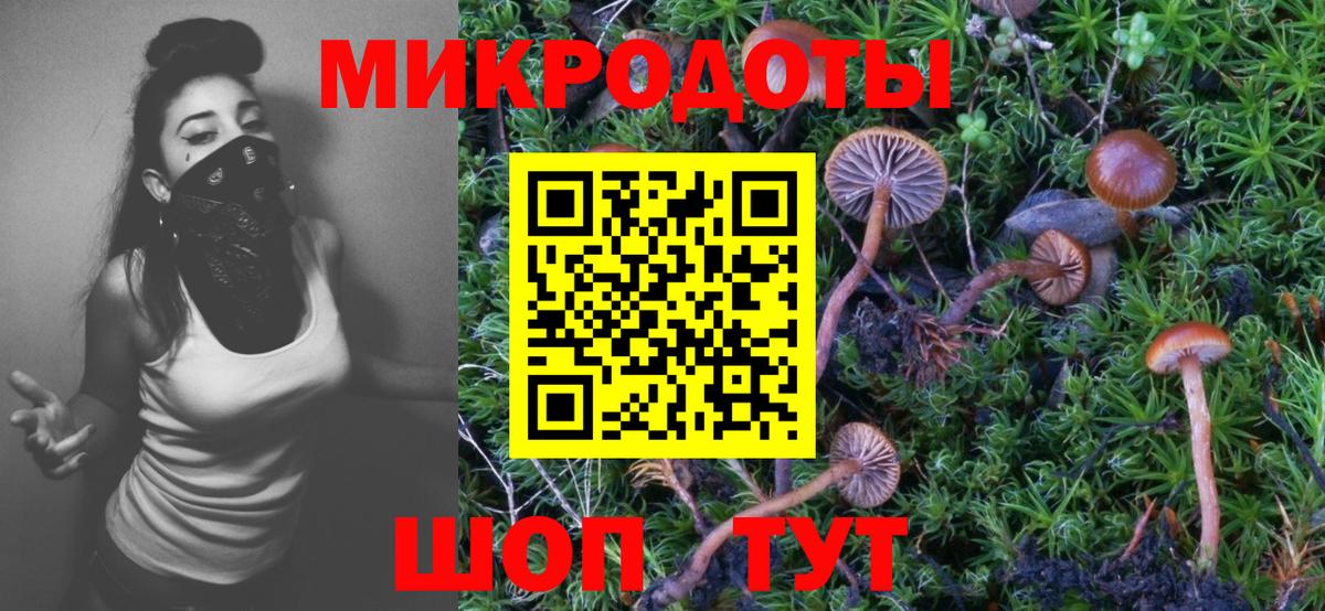 Псилоцибиновые грибы MAGIC MUSHROOMS Донецк