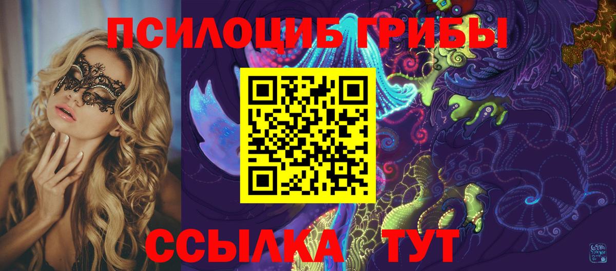 Донецк  Псилоцибиновые грибы GOLDEN TEACHER  Вход с VPN  Псилоцибиновые грибы мицелий 